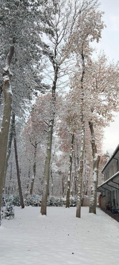 Apartamenty Plazowa 11 Darlowko Buitenkant foto